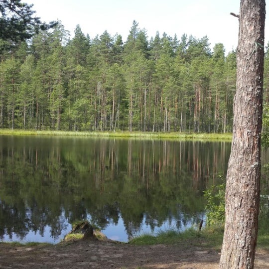 Озеро веселое в орле