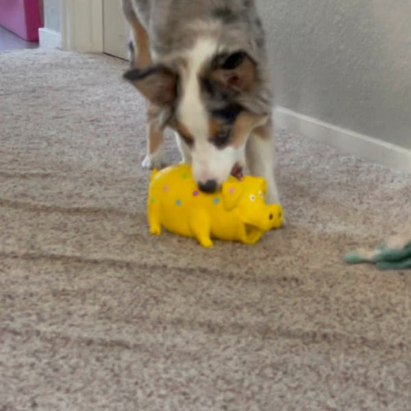 Photos at Sam's Club Roseville, CA