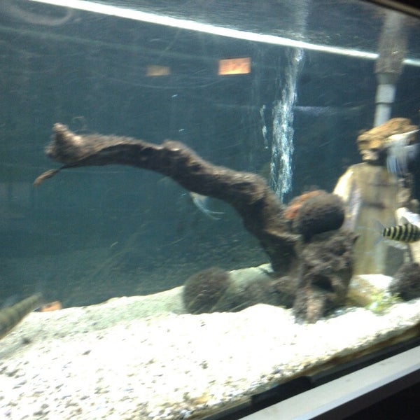 95+ Gambar Aquarium Air Laut Paling Keren 95+ Gambar Aquarium Air Laut Paling Keren