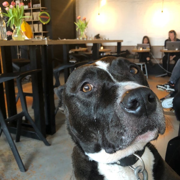 3/13/2020 tarihinde FWBziyaretçi tarafından Espressofabriek'de çekilen fotoğraf