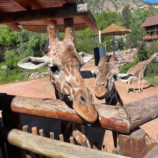 Das Foto wurde bei Cheyenne Mountain Zoo von Jennifer am 7/3/2023 aufgenommen