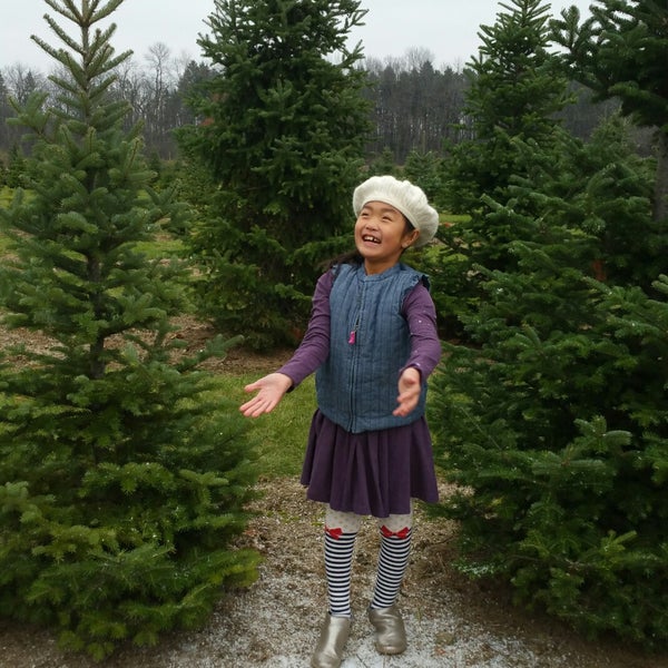 Trees For Less Nursery Mequon, WI