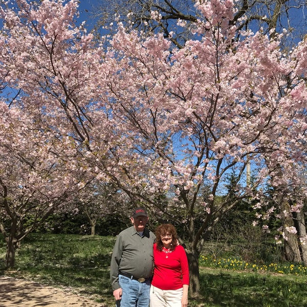 4/22/2017 tarihinde Carol B.ziyaretçi tarafından Olbrich Botanical Gardens'de çekilen fotoğraf