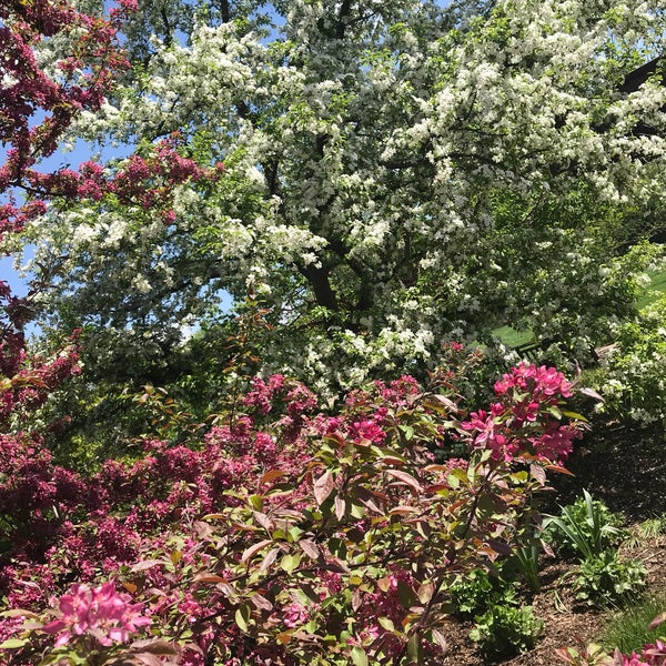 Das Foto wurde bei Olbrich Botanical Gardens von Carol B. am 5/16/2018 aufgenommen