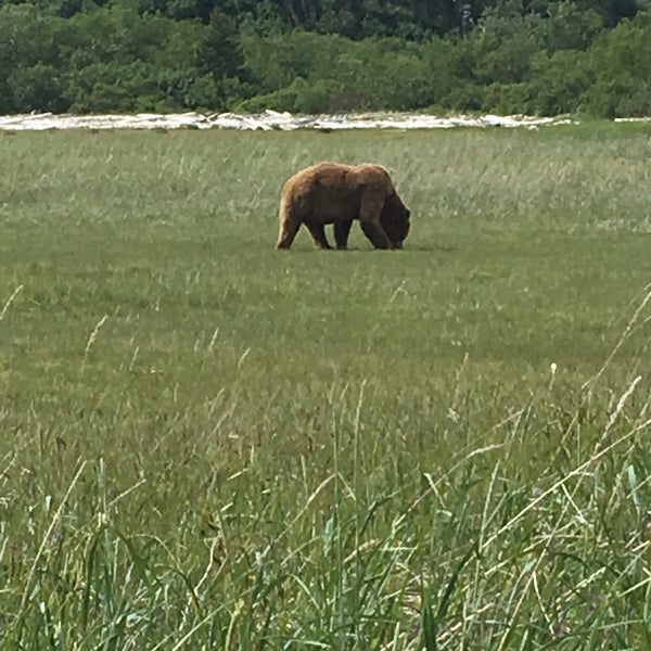 Katmai National Park & Preserve King Salmon 4 tips