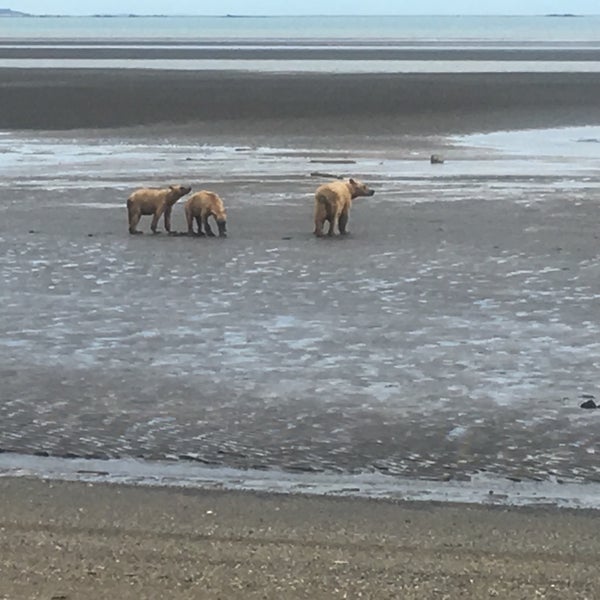 Katmai National Park & Preserve King Salmon 4 tips