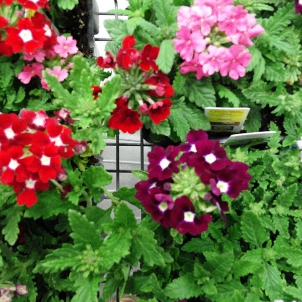 Photos at Lowe's Hardware Store in Anaheim