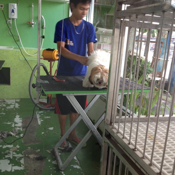 assumpta dog and cat clinic