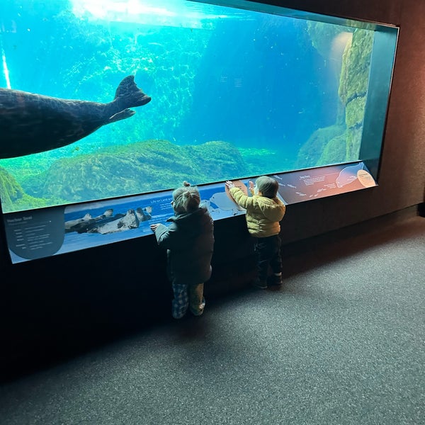 Photo taken at New York Aquarium by Adam C. on 2/19/2024