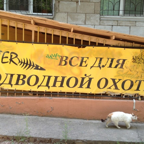 Магазин Бестер Волгоград Каталог Товаров