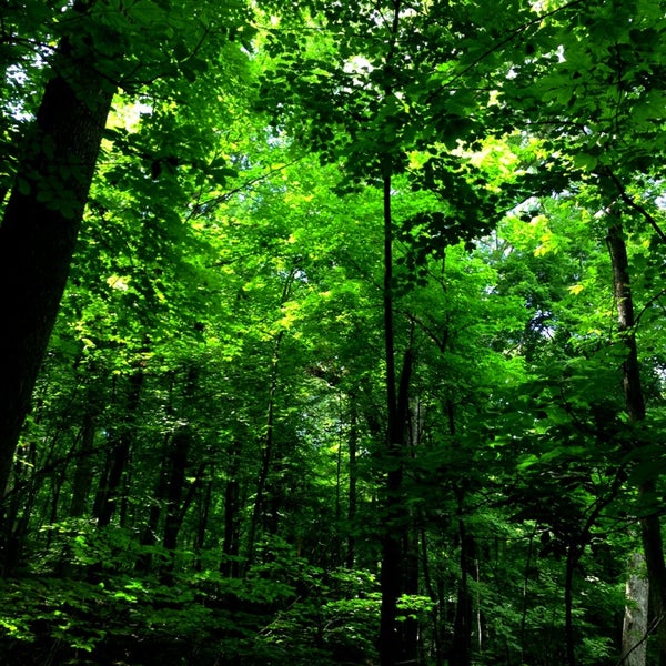 Woods 18. Плитка wow elle mix matt 20x20. Elle white matt 20x20. Касколовка. Керамограни elleng m.