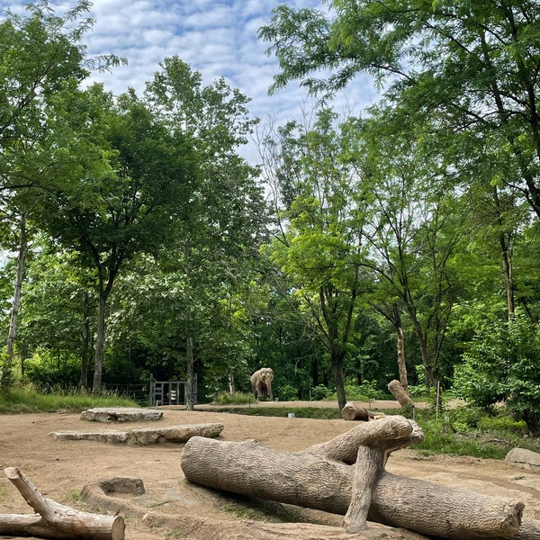 Photo taken at Saint Louis Zoo by Han on 6/1/2022