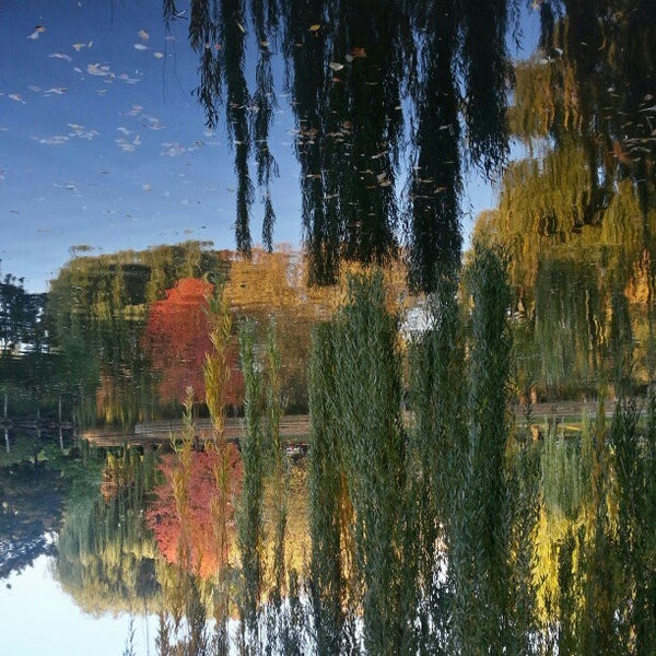 Fotos en Boston Public Garden - Jardín en Boston