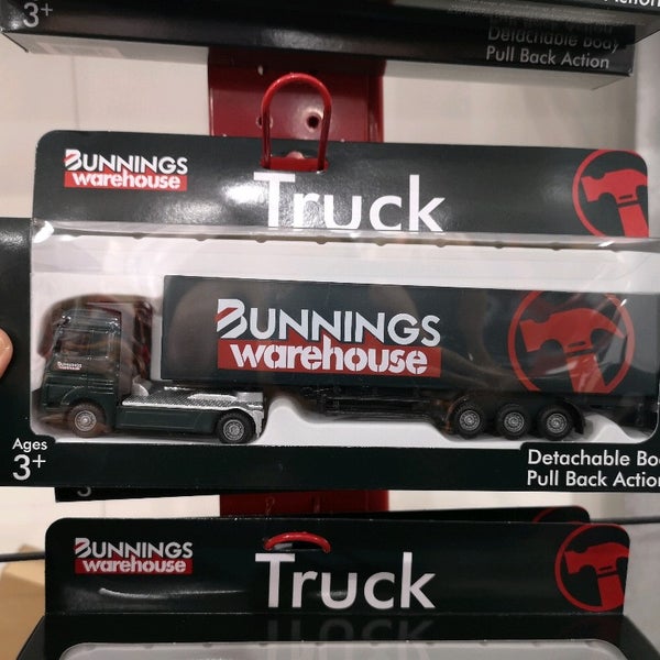 Bunnings Truck ubicaciondepersonas.cdmx.gob.mx