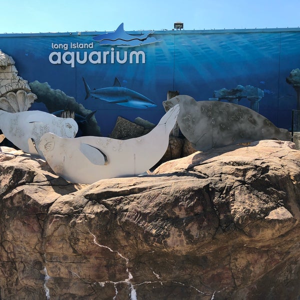 Снимок сделан в Long Island Aquarium &amp; Exhibition Center (Atlantis Marine World) пользователем Hard R. 6/12/2018