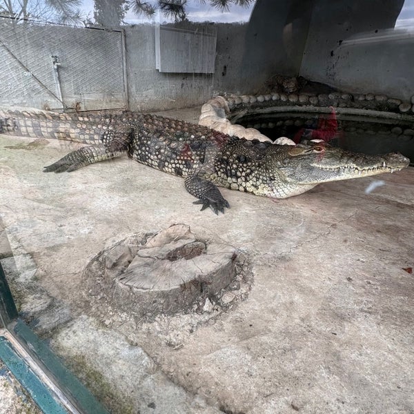 Photo taken at Polonezköy Zoo Country Club by Parsto o. on 2/11/2024