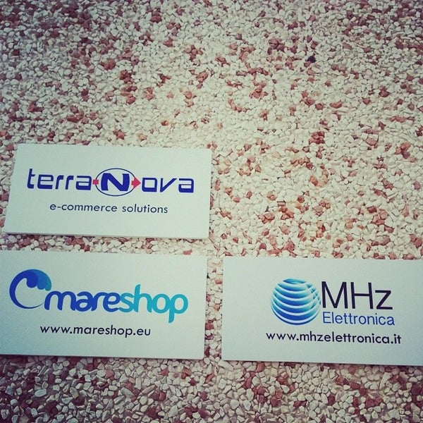 We terranova карта лояльности