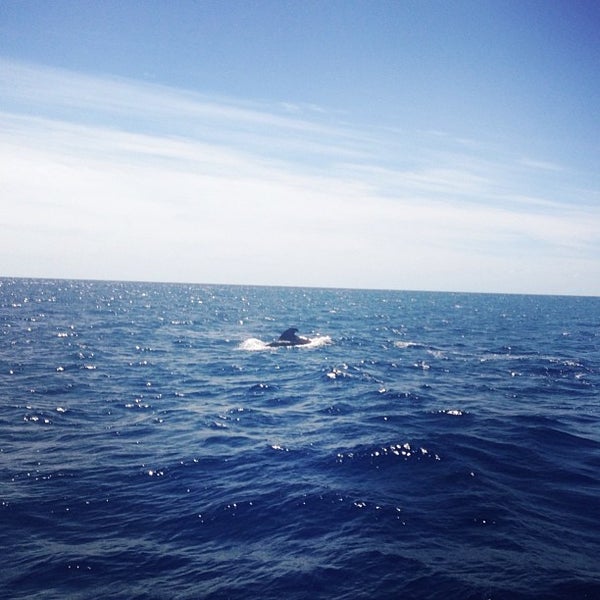 Dark ocean. Photo of a ocean wikipetyi.