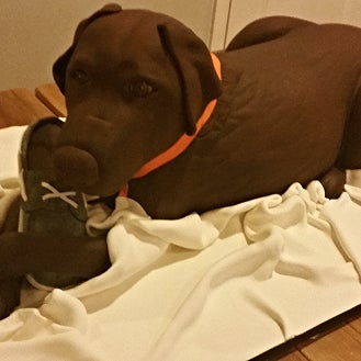 We made a Chocolate Labrador cake! Check it out, together with a video of us creating it, here! - http://eepurl.com/bbcnTr