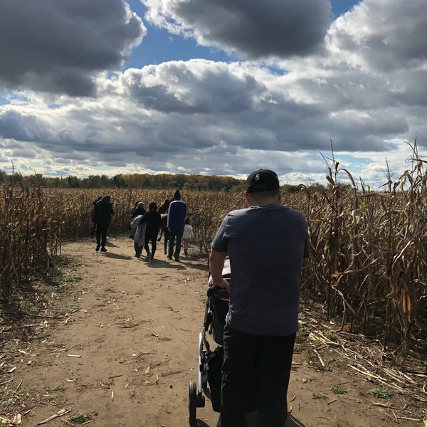 Cooper's Farm and Corn Maze Uxbridge, ON