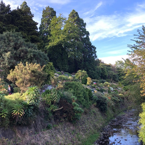 2/24/2020 tarihinde Kristen🧁ziyaretçi tarafından Dunedin Botanic Garden'de çekilen fotoğraf