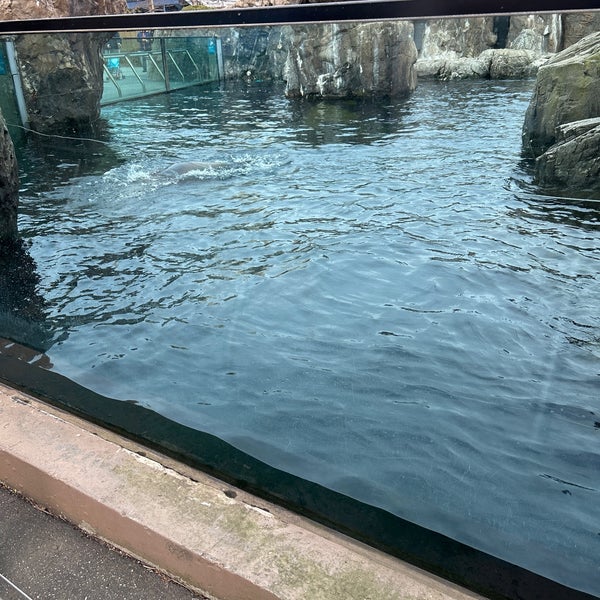 Photo taken at New York Aquarium by Amy L. on 1/14/2023