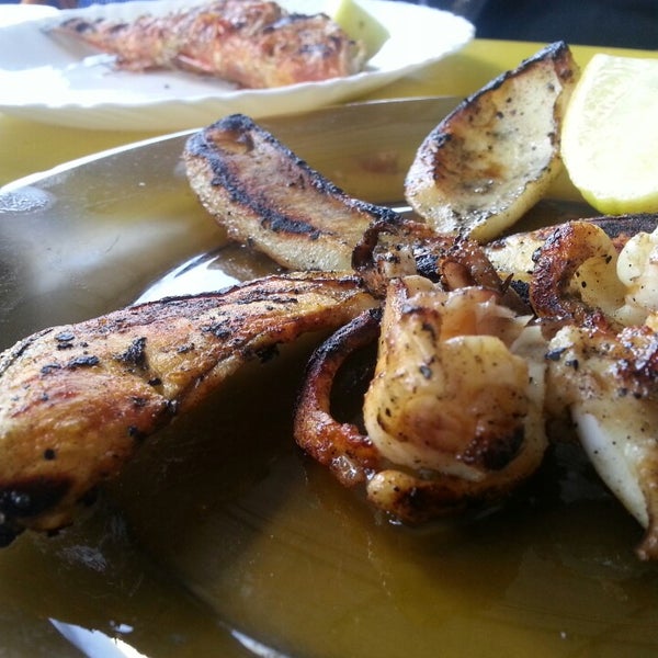 Photos à Flouka La Goulette, Tunis