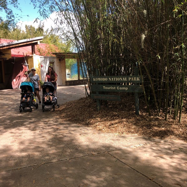 Jacksonville Zoo Komodo Dragon Northside Jacksonville, FL