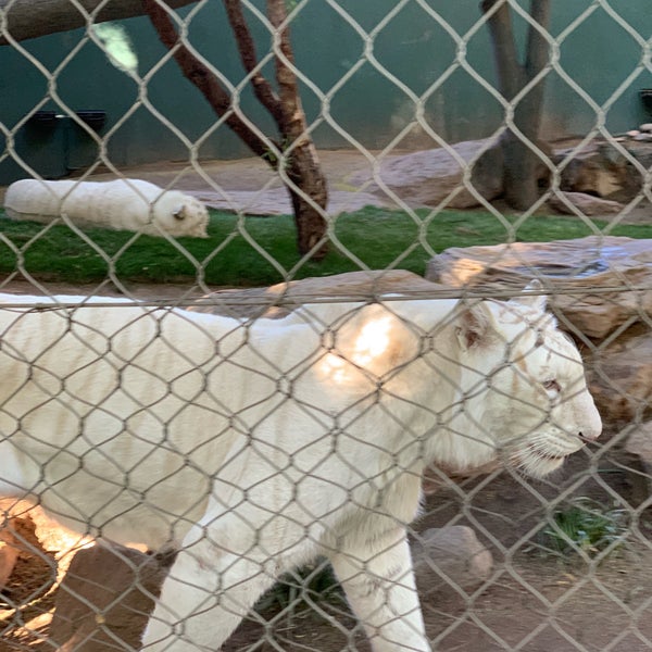Photo taken at Siegfried &amp; Roy&#39;s Secret Garden and Dolphin Habitat by Raul A. on 1/23/2019