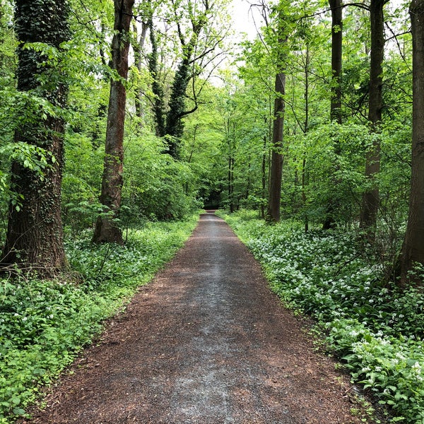 Nymphomanin Taetowierte Wald Ficksahne