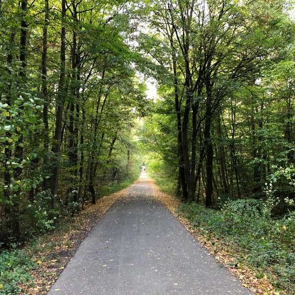 Zwergin Vollbusige Wald Kuessen