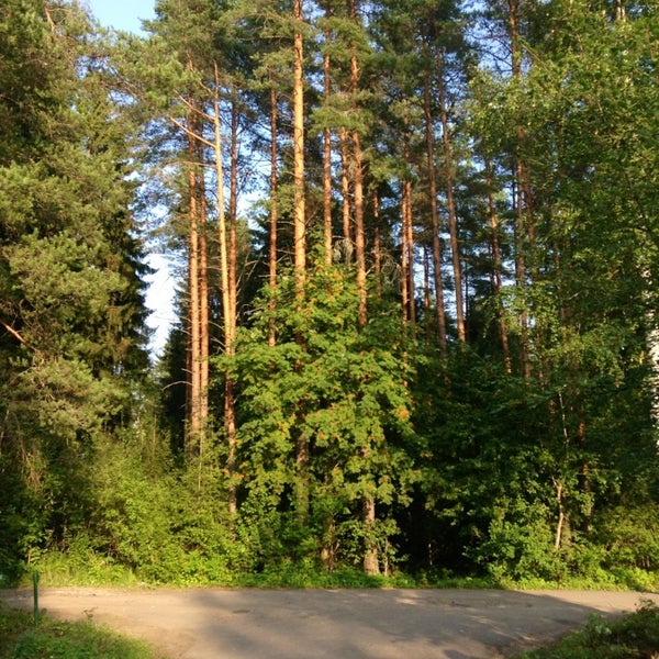 дачная улица санкт петербург