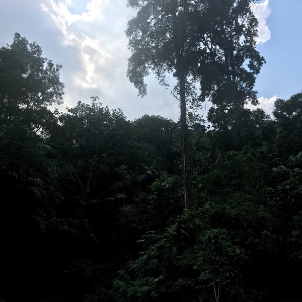 Photos At Frim Kepong Botanic Garden Garden In Kepong