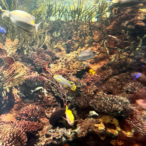 Photo taken at New York Aquarium by Berna K. on 5/31/2024
