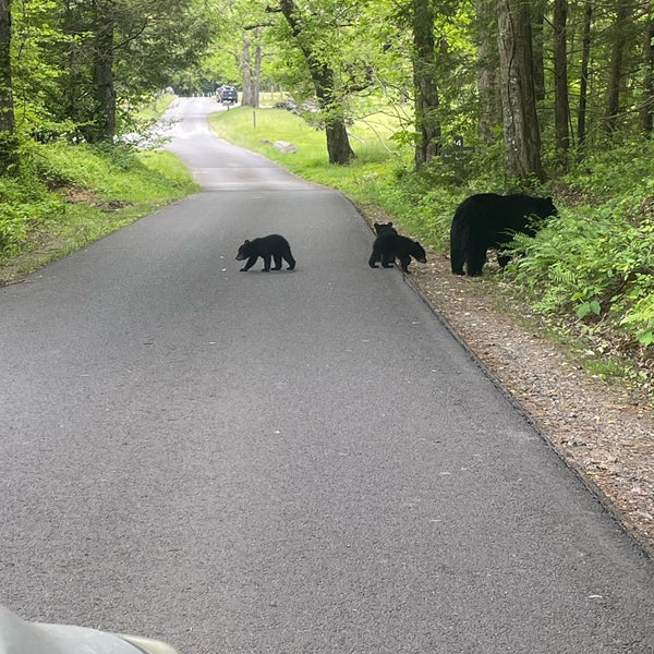 Cades Cove Jeep Outpost Townsend, TN