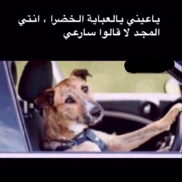 Photos At 1st Street الشارع الأول Road In Dammam