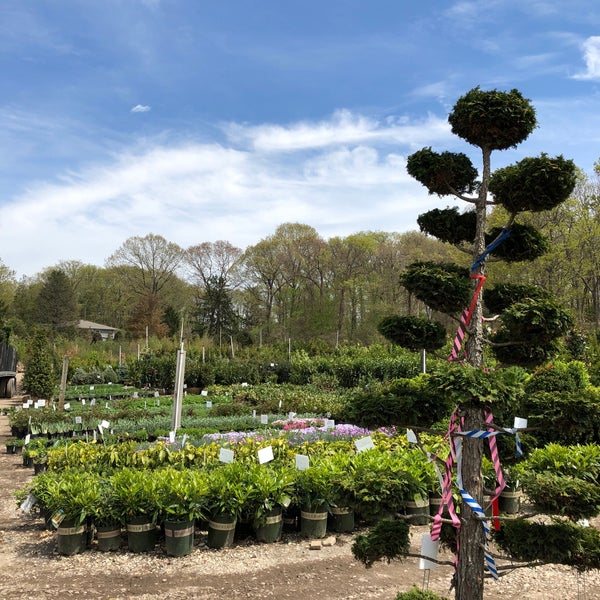 Bissett Nursery Dix Hills Ny