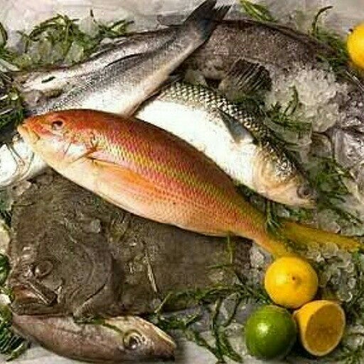 Организуй свой рыбный день в рыбном ресторане нашего города!