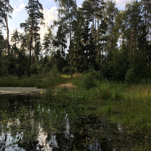 Озеро большое искровно тверская область. Поселок зеленый тверь. Зеленого тверская область. Посёлок зелёный тверская область. Белое озеро тверская область.