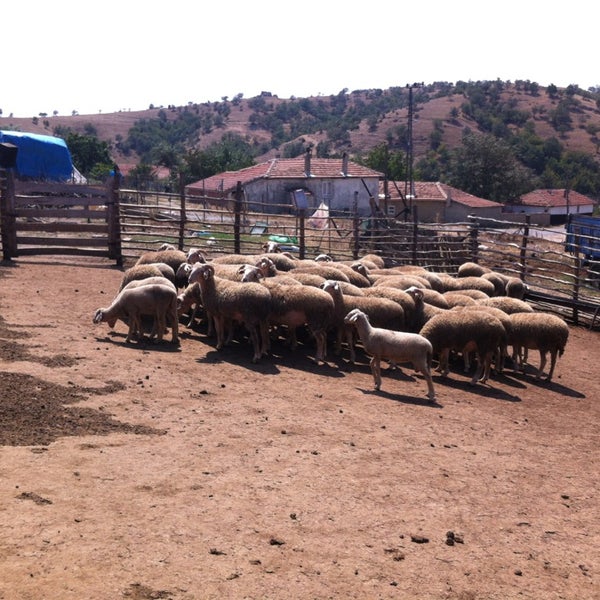 8/17/2013 tarihinde Müntehaziyaretçi tarafından Kuzulu Köyü'de çekilen fotoğraf