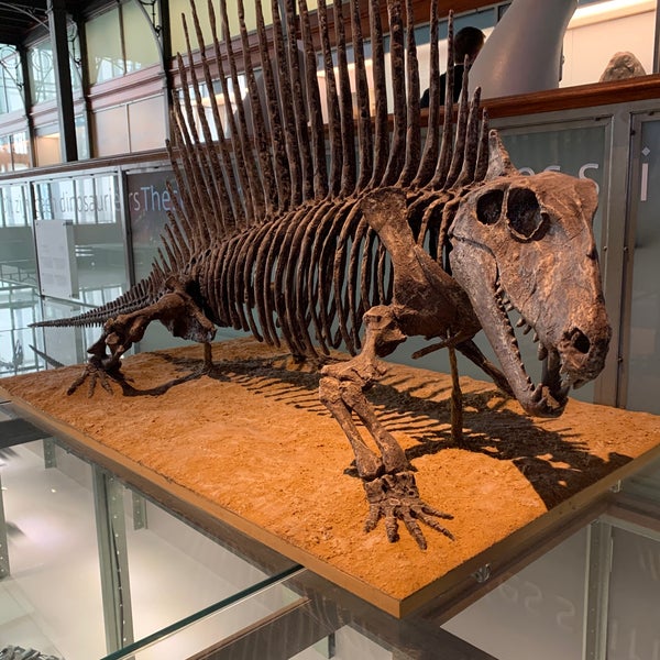 Photo taken at Museum of Natural Sciences by Ivan P. on 10/27/2019