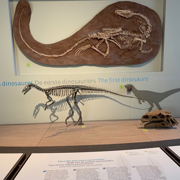 Photo taken at Museum of Natural Sciences by Ivan P. on 10/27/2019