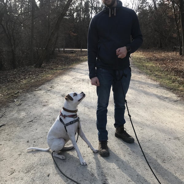 waterfall glen forest preserve in darien illinois