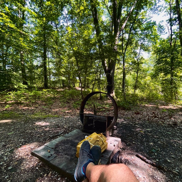 Swartswood State Park 3 tips from 387 visitors