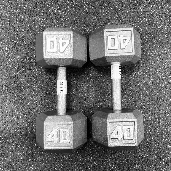 dumbbells at modell's