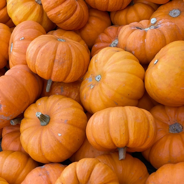 Dreyer Farms Garden Center