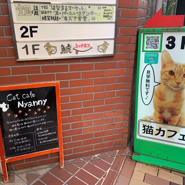 猫カフェ Cat Cafe Nyanny ニャニー Kafe Dlya Domashnih Zhivotnyh V 神戸市 猫カフェ Cat Cafe Nyanny ニャニー Kafe Dlya Domashnih Zhivotnyh V 神戸市