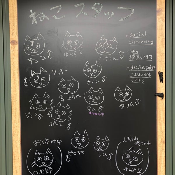保護猫ホーム カフェ ねこらぼ Cafe Em 安城市