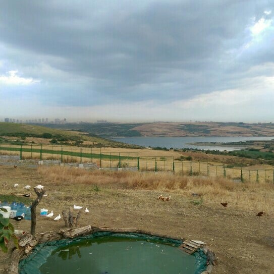 Beş Yıldız Et Mangal Güvercintepe�de Steakhouse