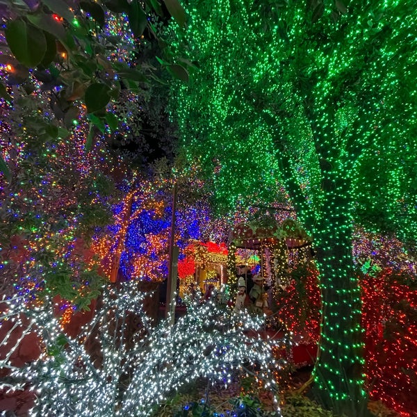 Deacon Dave's Christmas Lights 4 tips